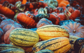 Les fruits et légumes d’automne que j’ai hâte de cuisiner
