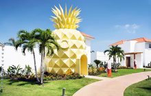 Qui vit dans un ananas dans la mer ? Eh bien vous, si vous en avez envie !