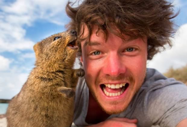 comment prendre un selfie avec un animal sauvage sans avoir l u0026 39 air zozo