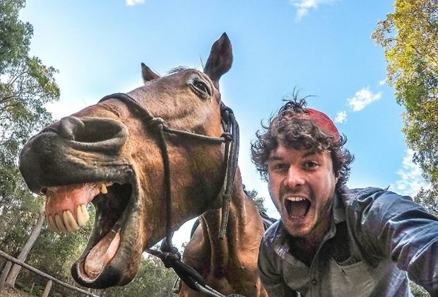 comment prendre un selfie avec un animal sauvage sans avoir l u0026 39 air zozo