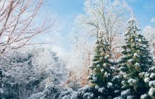 Deux contes de Noël en audio, pour un matin cosy
