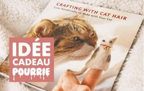 Le manuel de DIY avec des poils de chats ? Une idée cadeau (un peu) pourrie