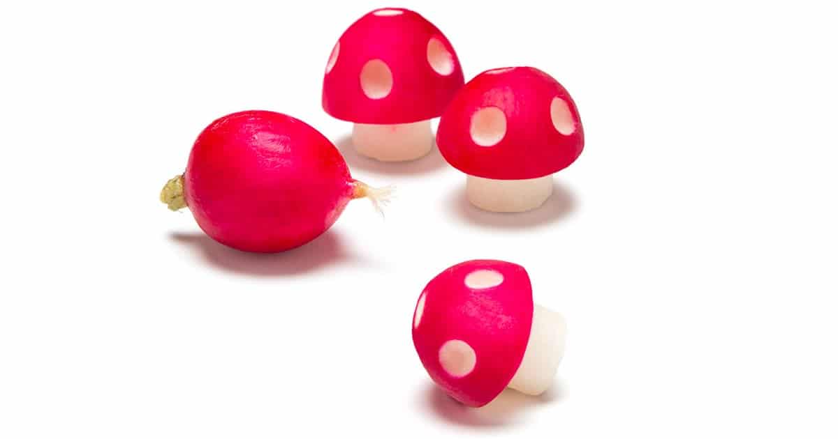 outil radis champignons mario