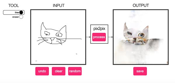 Affine Layer Un Site Qui Transforme Des Dessins En Chat Reel