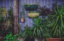 Et si on se mettait au jardinage ? #FaisToiUneFleur