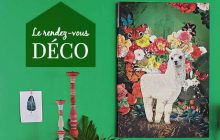 Le lama est la nouvelle licorne, voici comment le mettre PARTOUT chez toi !