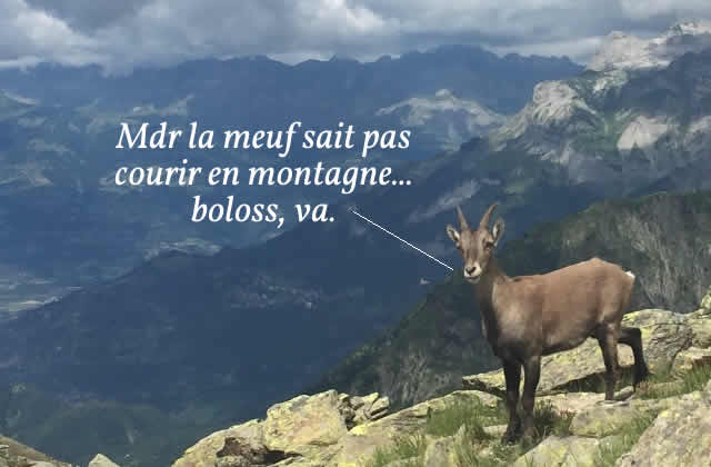Je suis pas taillée pour courir en montagne, et autres idées reçues sur le trail —Journal de bord #TrailXperience