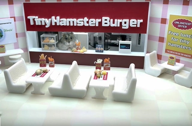 Des hamsters mangent des plats rikikis sur YouTube et je suis en amour
