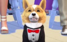 Tous à vos gamelles, les chiens et les chats débarquent dans les Sims 4 !