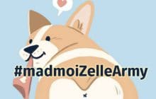 Un « double rainbow », un corgi et Lionel des Linkup sur #madmoiZelleArmy !