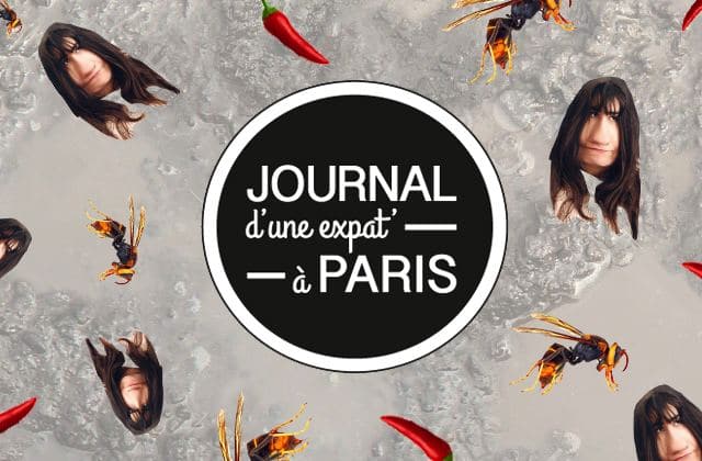 Des frelons XXL, de la fièvre et le retour du piment — Journal d’une expat’ à Paris #7