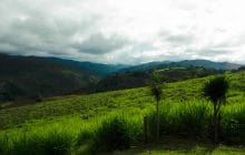 J’ai fait un échange au Costa Rica… Et rien ne s’est passé comme je m’y attendais