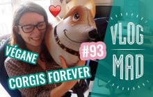 VlogMad n°93 — La meilleure danse de fin de vlog
