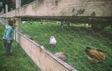 Passer sa vie avec des enfants et des animaux, le quotidien rêvé de Marion