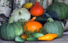 Que vas-tu manger en janvier ? Petite sélection de fruits et légumes de saison