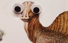 Même les dinosaures sont améliorés par une paire de googly eyes !