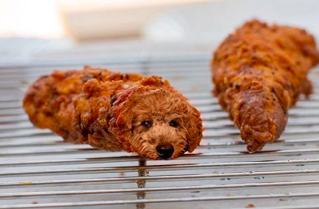 dogs-in-food-instagram.jpg
