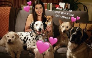 chiens-amour-bonheur-temoignage