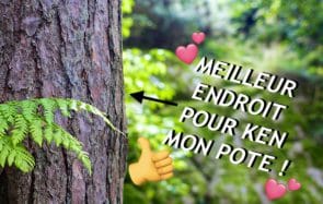 josee-obsedee-sexe-exterieur-nature