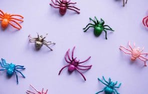 Pourquoi vous ne devriez pas tuer les araignées qui vivent chez vous