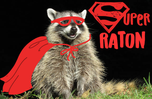 super-raton-heros.jpg