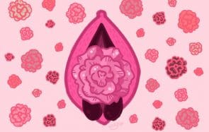Vagineering, pour qu’une bactérie devienne un moyen de contraception