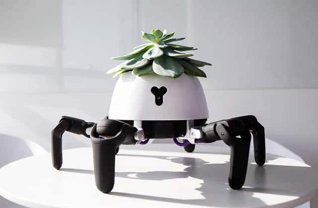 robot-plante-soleil.jpg