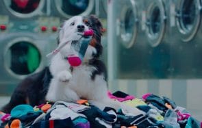 Cette marque t’aide à faire le deuil des chaussettes perdues en machine
