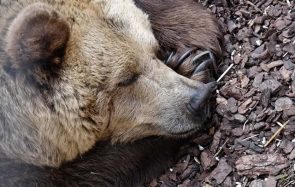 Un rituel pour bien dormir en 6 astuces