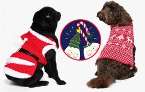 Garde ton petit chien au chaud avec ces manteaux de Noël