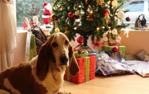 Pourquoi je n’aime pas Noël (et croyez-moi, socialement c’est dur)