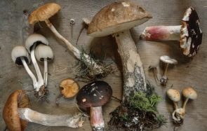 COMMENT a-t-on découvert que ces aliments sont comestibles ?!