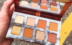 palette on the run urban decay