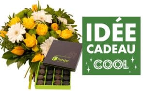 Une idée cadeau cool et pas chère pour la fête des grands-mères