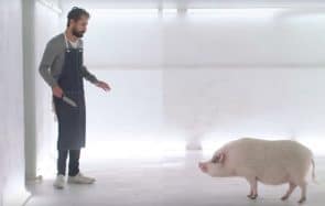 Tu mangerais du cochon, si tu devais le tuer toi-même ?