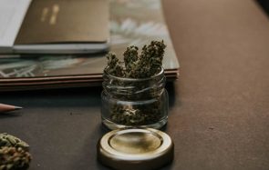 Une instance préconise la légalisation du cannabis en France