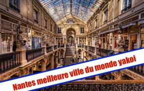 Que faire en arrivant à Nantes ?
