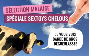 6 sextoys étonnants dont je ne soupçonnais pas l’existence