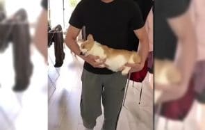Les trouvailles d’Internet pour bien commencer la semaine #417