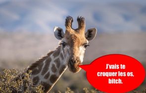 10 infos vraies qui ont l’air complètement fausses