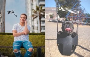 Pourquoi j’aime les animaux plus que les humains