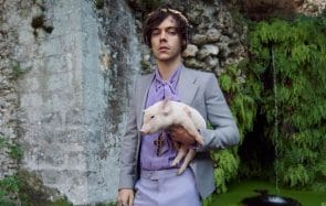 Harry Styles range ses vêtements dans un congélateur à haute sécurité