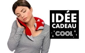 Idée cadeau cool : une bouillotte chauffante renard !