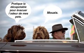 Vos anecdotes de covoiturage les plus drôles et cheloues (partie 2)