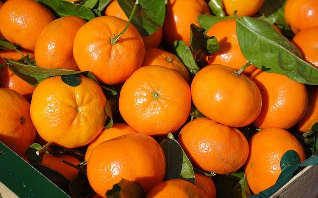 La différence entre la clémentine et la mandarine : le ...