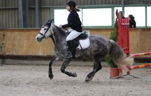 5 leçons de vie que l’équitation m’a apprises