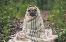 13 plaids tout doux dans lesquels s’enrouler jusqu’à la fin de l’hiver