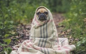 13 plaids tout doux dans lesquels t’enrouler jusqu’à la fin de l’hiver
