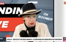 Geneviève de Fontenay dérape sur Bilal Hassani et tient des propos transphobes