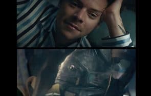 Harry Styles sauve un poisson dépressif et part à l’aventure